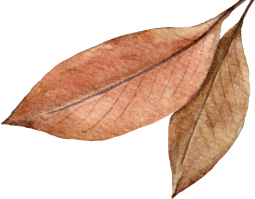 leaf