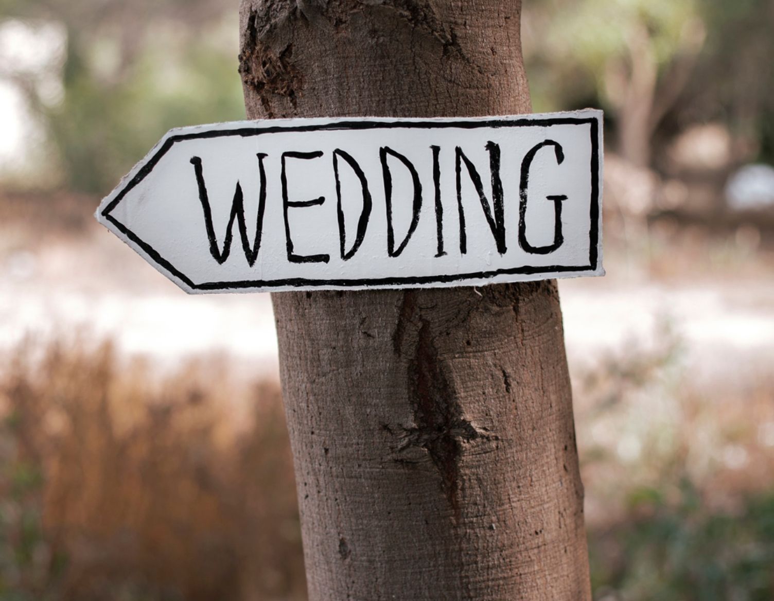 wedding ign on a tree